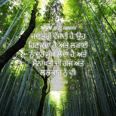 Picture 04 - ਅੱਯੂਬ 39:25 PANIRV - ਜਦ ਤੁਰ੍ਹੀ ਵੱਜਦੀ ਹੈ, - Bible Verse Picture