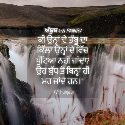 Picture 04 - ਅੱਯੂਬ 4:21 PANIRV - ਕੀ ਉਨ੍ਹਾਂ ਦੇ ਤੰਬੂ - Bible Verse Picture