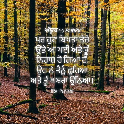 Picture 04 - ਅੱਯੂਬ 4:5 PANIRV - ਪਰ ਹੁਣ ਬਿਪਤਾ ਤੇਰੇ - Bible Verse Picture