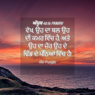 Picture 04 - ਅੱਯੂਬ 40:16 PANIRV - ਵੇਖ, ਉਹ ਦਾ ਬਲ ਉਹ ਦੀ - Bible Verse Picture