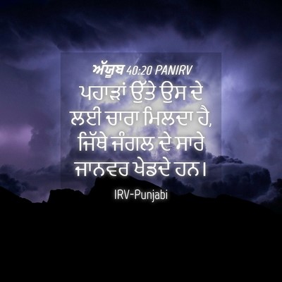 Picture 04 - ਅੱਯੂਬ 40:20 PANIRV - ਪਹਾੜਾਂ ਉੱਤੇ ਉਸ ਦੇ - Bible Verse Picture