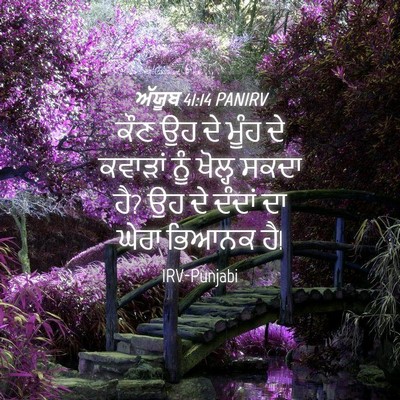 Picture 04 - ਅੱਯੂਬ 41:14 PANIRV - ਕੌਣ ਉਹ ਦੇ ਮੂੰਹ ਦੇ - Bible Verse Picture