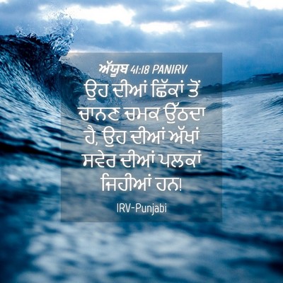Picture 04 - ਅੱਯੂਬ 41:18 PANIRV - ਉਹ ਦੀਆਂ ਛਿੱਕਾਂ ਤੋਂ - Bible Verse Picture