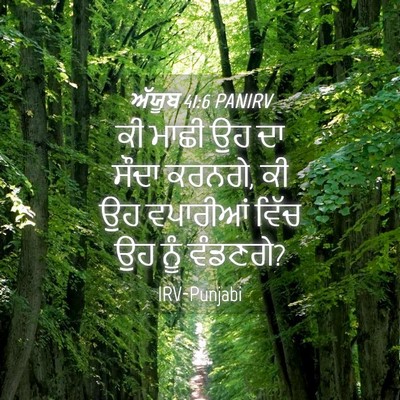 Picture 04 - ਅੱਯੂਬ 41:6 PANIRV - ਕੀ ਮਾਛੀ ਉਹ ਦਾ ਸੌਦਾ - Bible Verse Picture