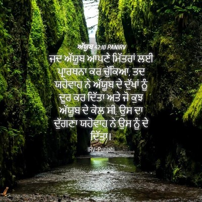 Picture 04 - ਅੱਯੂਬ 42:10 PANIRV - ਜਦ ਅੱਯੂਬ ਆਪਣੇ - Bible Verse Picture