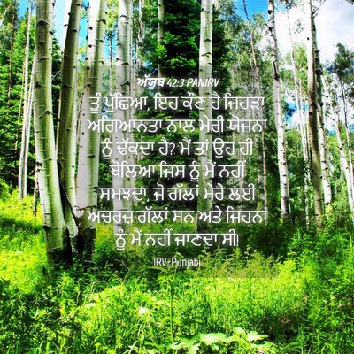 Picture 04 - ਅੱਯੂਬ 42:3 PANIRV - ਤੂੰ ਪੁੱਛਿਆ, ਇਹ ਕੌਣ - Bible Verse Picture