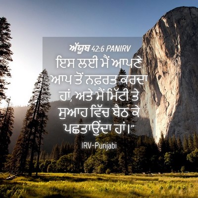 Picture 04 - ਅੱਯੂਬ 42:6 PANIRV - ਇਸ ਲਈ ਮੈਂ ਆਪਣੇ ਆਪ - Bible Verse Picture