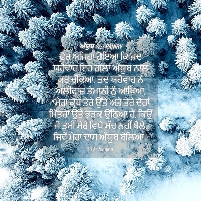 Picture 04 - ਅੱਯੂਬ 42:7 PANIRV - ਫੇਰ ਅਜਿਹਾ ਹੋਇਆ ਕਿ - Bible Verse Picture