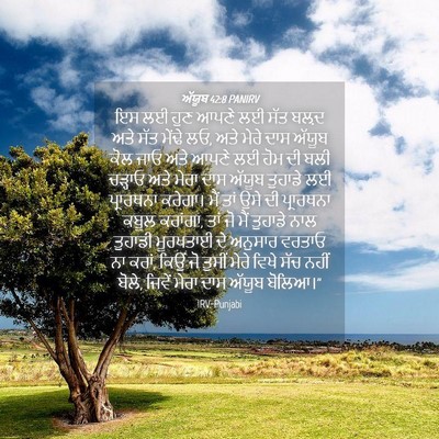 Picture 04 - ਅੱਯੂਬ 42:8 PANIRV - ਇਸ ਲਈ ਹੁਣ ਆਪਣੇ ਲਈ - Bible Verse Picture