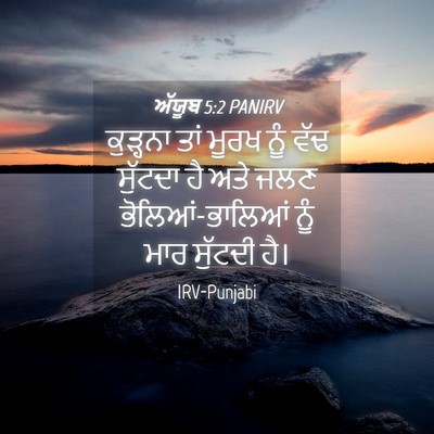 Picture 04 - ਅੱਯੂਬ 5:2 PANIRV - ਕੁੜ੍ਹਨਾ ਤਾਂ ਮੂਰਖ - Bible Verse Picture