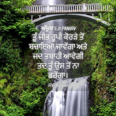 Picture 04 - ਅੱਯੂਬ 5:21 PANIRV - ਤੂੰ ਜੀਭ ਰੂਪੀ ਕੋਰੜੇ - Bible Verse Picture