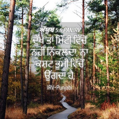 Picture 04 - ਅੱਯੂਬ 5:6 PANIRV - ਦੁੱਖ ਤਾਂ ਮਿੱਟੀ - Bible Verse Picture
