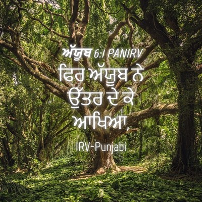Picture 04 - ਅੱਯੂਬ 6:1 PANIRV - ਫਿਰ ਅੱਯੂਬ ਨੇ ਉੱਤਰ - Bible Verse Picture