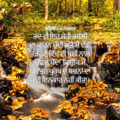 Picture 04 - ਅੱਯੂਬ 6:10 PANIRV - ਤਦ ਵੀ ਇਹ ਮੇਰੀ ਤਸੱਲੀ - Bible Verse Picture