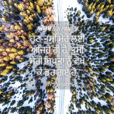 Picture 04 - ਅੱਯੂਬ 6:21 PANIRV - ਹੁਣ ਤੁਸੀਂ ਮੇਰੇ ਲਈ - Bible Verse Picture