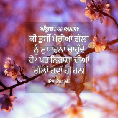 Picture 04 - ਅੱਯੂਬ 6:26 PANIRV - ਕੀ ਤੁਸੀਂ ਮੇਰੀਆਂ - Bible Verse Picture