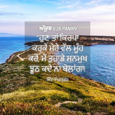 Picture 04 - ਅੱਯੂਬ 6:28 PANIRV - “ਹੁਣ ਤਾਂ ਕਿਰਪਾ - Bible Verse Picture