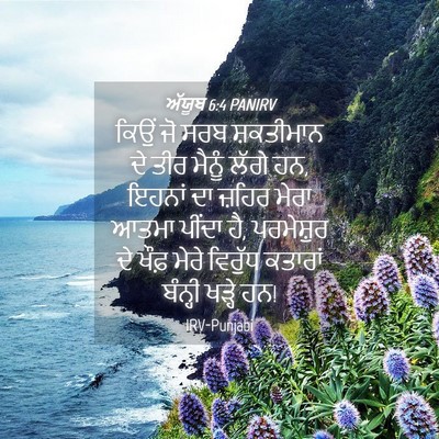 Picture 04 - ਅੱਯੂਬ 6:4 PANIRV - ਕਿਉਂ ਜੋ ਸਰਬ - Bible Verse Picture