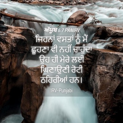 Picture 04 - ਅੱਯੂਬ 6:7 PANIRV - ਜਿਹਨਾਂ ਵਸਤਾਂ ਨੂੰ - Bible Verse Picture