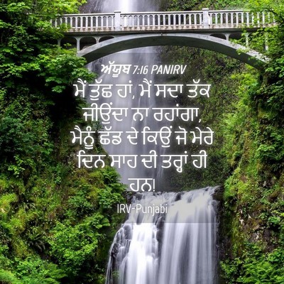 Picture 04 - ਅੱਯੂਬ 7:16 PANIRV - ਮੈਂ ਤੁੱਛ ਹਾਂ, ਮੈਂ - Bible Verse Picture