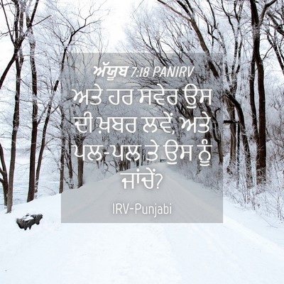 Picture 04 - ਅੱਯੂਬ 7:18 PANIRV - ਅਤੇ ਹਰ ਸਵੇਰ ਉਸ ਦੀ - Bible Verse Picture