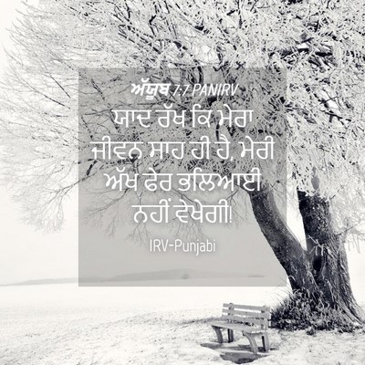 Picture 04 - ਅੱਯੂਬ 7:7 PANIRV - ਯਾਦ ਰੱਖ ਕਿ ਮੇਰਾ - Bible Verse Picture