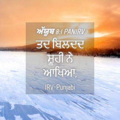 Picture 04 - ਅੱਯੂਬ 8:1 PANIRV - ਤਦ ਬਿਲਦਦ ਸ਼ੂਹੀ ਨੇ - Bible Verse Picture