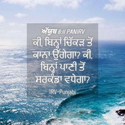 Picture 04 - ਅੱਯੂਬ 8:11 PANIRV - ਕੀ, ਬਿਨ੍ਹਾਂ ਚਿੱਕੜ - Bible Verse Picture