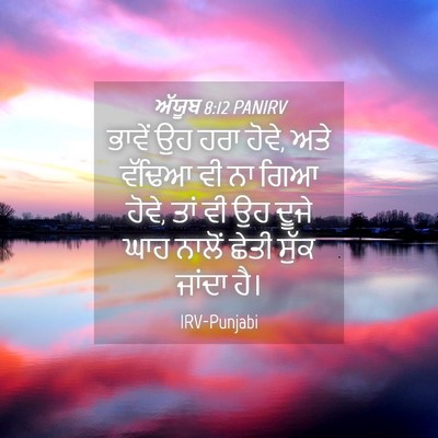 Picture 04 - ਅੱਯੂਬ 8:12 PANIRV - ਭਾਵੇਂ ਉਹ ਹਰਾ ਹੋਵੇ, - Bible Verse Picture