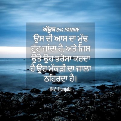 Picture 04 - ਅੱਯੂਬ 8:14 PANIRV - ਉਸ ਦੀ ਆਸ ਦਾ ਮੁੱਢ - Bible Verse Picture