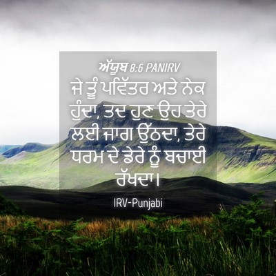 Picture 04 - ਅੱਯੂਬ 8:6 PANIRV - ਜੇ ਤੂੰ ਪਵਿੱਤਰ ਅਤੇ - Bible Verse Picture