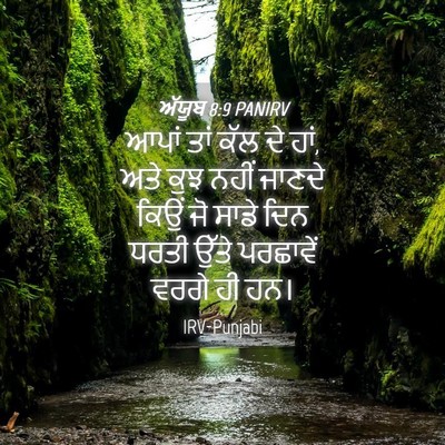 Picture 04 - ਅੱਯੂਬ 8:9 PANIRV - ਆਪਾਂ ਤਾਂ ਕੱਲ ਦੇ - Bible Verse Picture