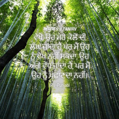 Picture 04 - ਅੱਯੂਬ 9:11 PANIRV - ਵੇਖੋ, ਉਹ ਮੇਰੇ ਕੋਲੋਂ - Bible Verse Picture
