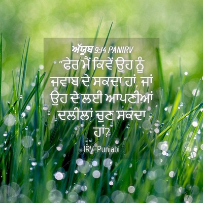 Picture 04 - ਅੱਯੂਬ 9:14 PANIRV - “ਫੇਰ ਮੈਂ ਕਿਵੇਂ ਉਹ - Bible Verse Picture