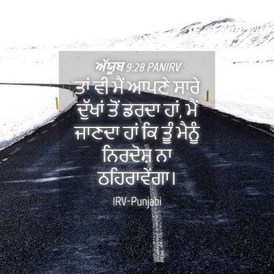 Picture 04 - ਅੱਯੂਬ 9:28 PANIRV - ਤਾਂ ਵੀ ਮੈਂ ਆਪਣੇ - Bible Verse Picture