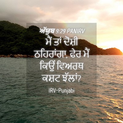 Picture 04 - ਅੱਯੂਬ 9:29 PANIRV - ਮੈਂ ਤਾਂ ਦੋਸ਼ੀ - Bible Verse Picture