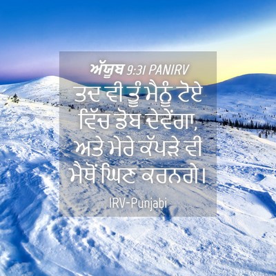 Picture 04 - ਅੱਯੂਬ 9:31 PANIRV - ਤਦ ਵੀ ਤੂੰ ਮੈਨੂੰ ਟੋਏ - Bible Verse Picture