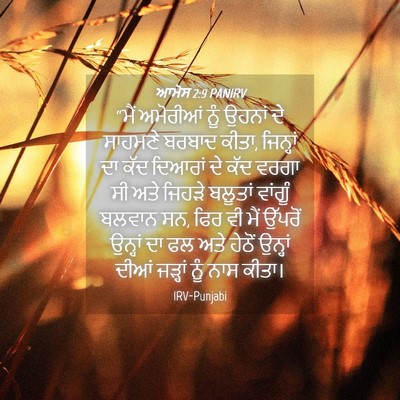 Picture 04 - ਆਮੋਸ 2:9 PANIRV - “ਮੈਂ ਅਮੋਰੀਆਂ ਨੂੰ - Bible Verse Picture