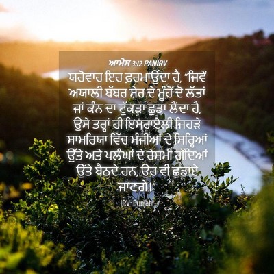Picture 04 - ਆਮੋਸ 3:12 PANIRV - ਯਹੋਵਾਹ ਇਹ - Bible Verse Picture