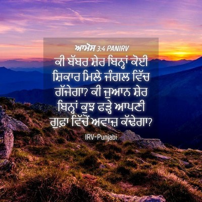 Picture 04 - ਆਮੋਸ 3:4 PANIRV - ਕੀ ਬੱਬਰ ਸ਼ੇਰ - Bible Verse Picture