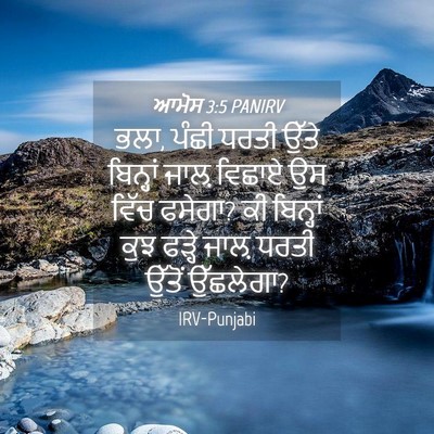 Picture 04 - ਆਮੋਸ 3:5 PANIRV - ਭਲਾ, ਪੰਛੀ ਧਰਤੀ ਉੱਤੇ - Bible Verse Picture