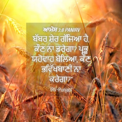 Picture 04 - ਆਮੋਸ 3:8 PANIRV - ਬੱਬਰ ਸ਼ੇਰ ਗੱਜਿਆ ਹੈ, - Bible Verse Picture