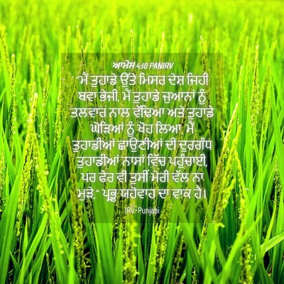Picture 04 - ਆਮੋਸ 4:10 PANIRV - “ਮੈਂ ਤੁਹਾਡੇ ਉੱਤੇ - Bible Verse Picture