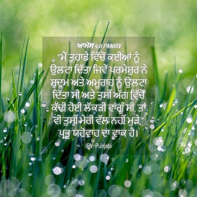Picture 04 - ਆਮੋਸ 4:11 PANIRV - “ਮੈਂ ਤੁਹਾਡੇ - Bible Verse Picture
