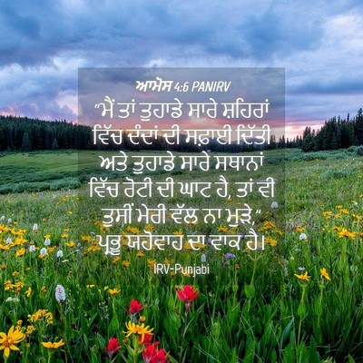 Picture 04 - ਆਮੋਸ 4:6 PANIRV - “ਮੈਂ ਤਾਂ ਤੁਹਾਡੇ - Bible Verse Picture
