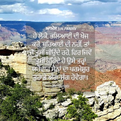 Picture 04 - ਆਮੋਸ 5:14 PANIRV - ਹੇ ਲੋਕੋ, ਭਲਿਆਈ ਦੀ - Bible Verse Picture
