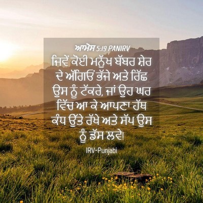 Picture 04 - ਆਮੋਸ 5:19 PANIRV - ਜਿਵੇਂ ਕੋਈ ਮਨੁੱਖ - Bible Verse Picture