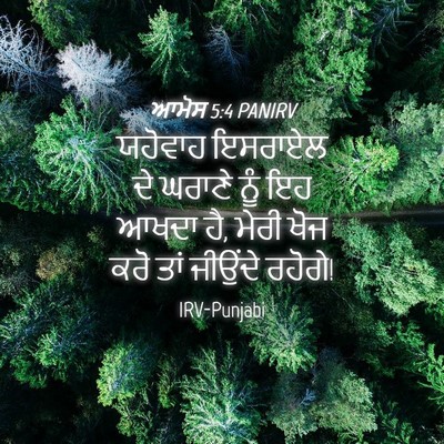 Picture 04 - ਆਮੋਸ 5:4 PANIRV - ਯਹੋਵਾਹ ਇਸਰਾਏਲ ਦੇ - Bible Verse Picture