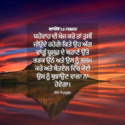 Picture 04 - ਆਮੋਸ 5:6 PANIRV - ਯਹੋਵਾਹ ਦੀ ਖੋਜ ਕਰੋ - Bible Verse Picture