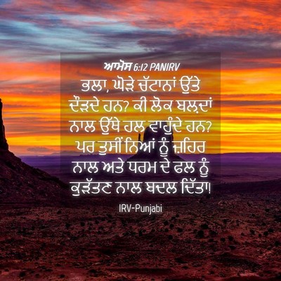 Picture 04 - ਆਮੋਸ 6:12 PANIRV - ਭਲਾ, ਘੋੜੇ ਚੱਟਾਨਾਂ - Bible Verse Picture